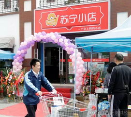 從恒大入股看蘇寧O2O戰(zhàn)略 表面狂歡下的深層隱憂